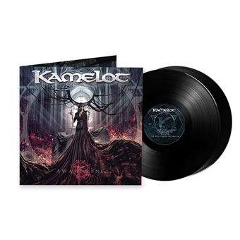 The Awakening - 2 Vinilos