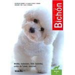 Bichón