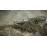 Shadow of the Colossus PS4_6