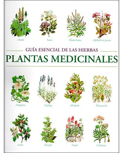De vez en cuando Proponer Comerciante Guía esencial de las hierbas - Plantas medicinales - -5% en libros | FNAC