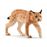 Figura Lince Schleich_0