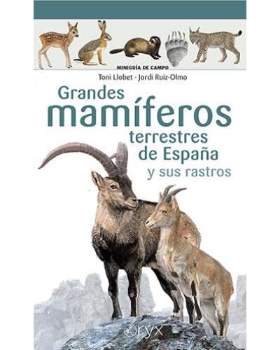 Lectio Ediciones Grandes Mamíferos Terrestres De España Y Sus Rastros