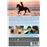 Un verano inolvidable - DVD