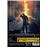 Arde Notre Dame - DVD