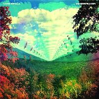 Innerspeaker - Vinilo