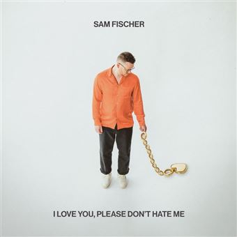 I Love You Please Don't Hate Me - Vinilo