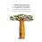 L'expedició al baobab_0