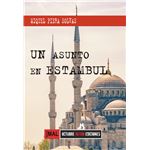 Un Asunto En Estambul