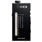 Radio FM portátil FiiO RR11 Negro