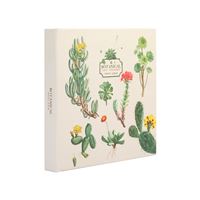 Kokonote Botanical Cacti Scrapbook 40 Pages 26x26 cm Album