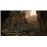Darksiders III Collector's Edition PC_3