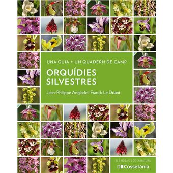 Orquídies silvestres