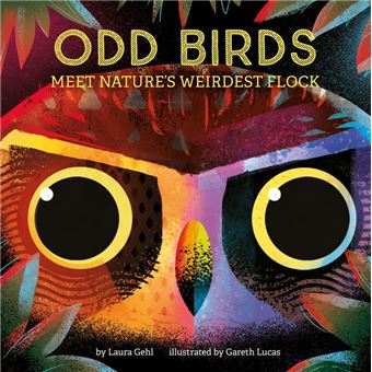 Odd Birds - 1