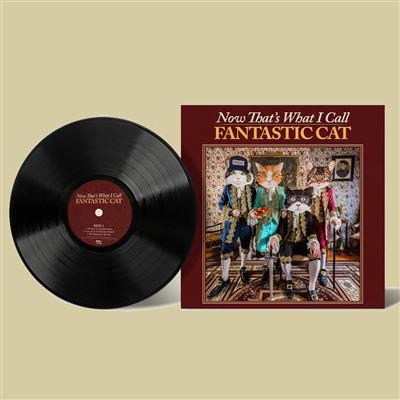 Now That's What I Call Fantastic Cat - Vinilo - Fantastic Cat