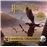 Harry Potter: Magical Creatures: A Movie Scrapbook