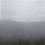 Lp-dead bandit
