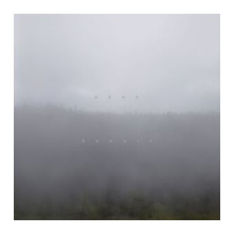 Lp-dead bandit