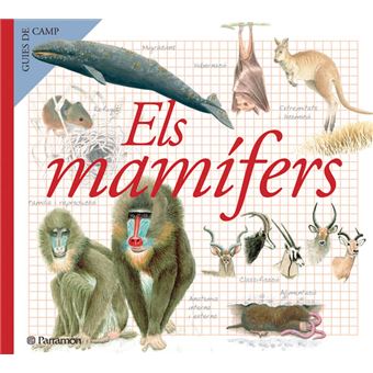 Els Mamifers - 1