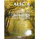 Galicia - excursiones por los bosqu