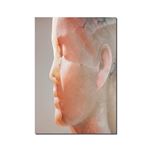 Jaume Plensa-Inner Matter Materia Interior