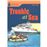 Foundation Readers Level 6 - Trouble At Sea_0