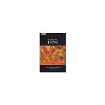 Introduccion a jung