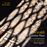 Vivaldi. The Great Venetian Mass - CD