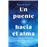 Un puente hacia el alma