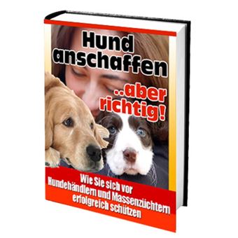 Hund anschaffen ... aber richtig - 1