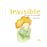 Invisible_0