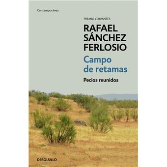 Campo de retamas