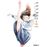 Akebi`S Sailor Uniform 9