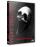 Penny Dreadful Temporada 3 - DVD_0