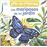 Las mariposas de mi jardin