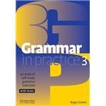 Grammar in practice 3