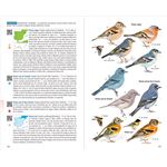 Aves De España -4ª Edicion