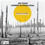 Summer Of Synesthesia - Vinilo Single 7"
