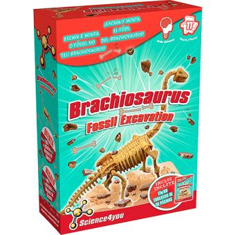 Excavaciones fósiles Brachiosaurus