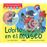 Lobito en el museo