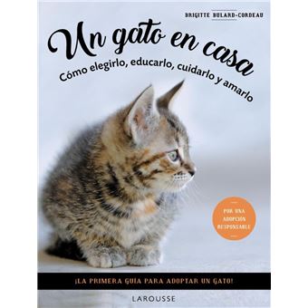 Un gato en casa
