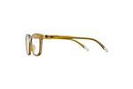 Gafas De Lectura Barner Modelo Holly Ecru Olive (glossy) +1,50