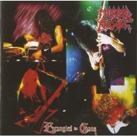 Entangled In Chaos - CD