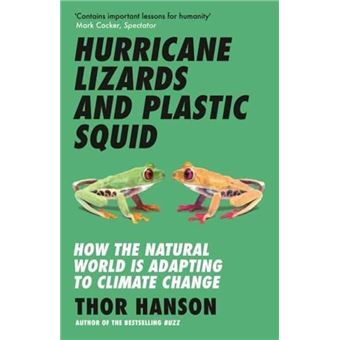 Hurricane lizards and plastic squid