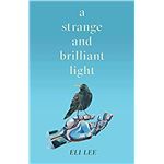 A strange and brilliant light