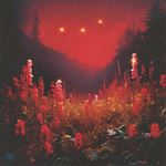 Superbloom - Vinilo