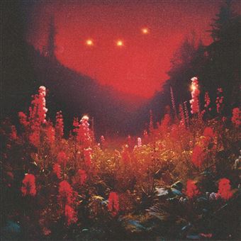 Superbloom - Vinilo