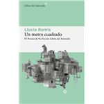 Un metro cuadrado