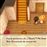 Story of Season: Friends of Mineral Town Nintendo Switch_1