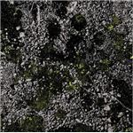 Infest the rats nest - Vinilo verde