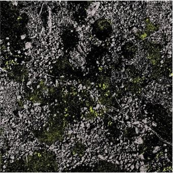 Infest the rats nest - Vinilo verde